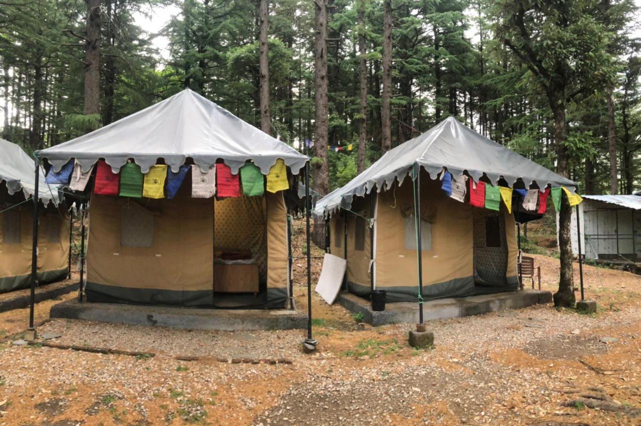 ماكليود غانج Himtrek Stays,Mcleodganj المظهر الخارجي الصورة