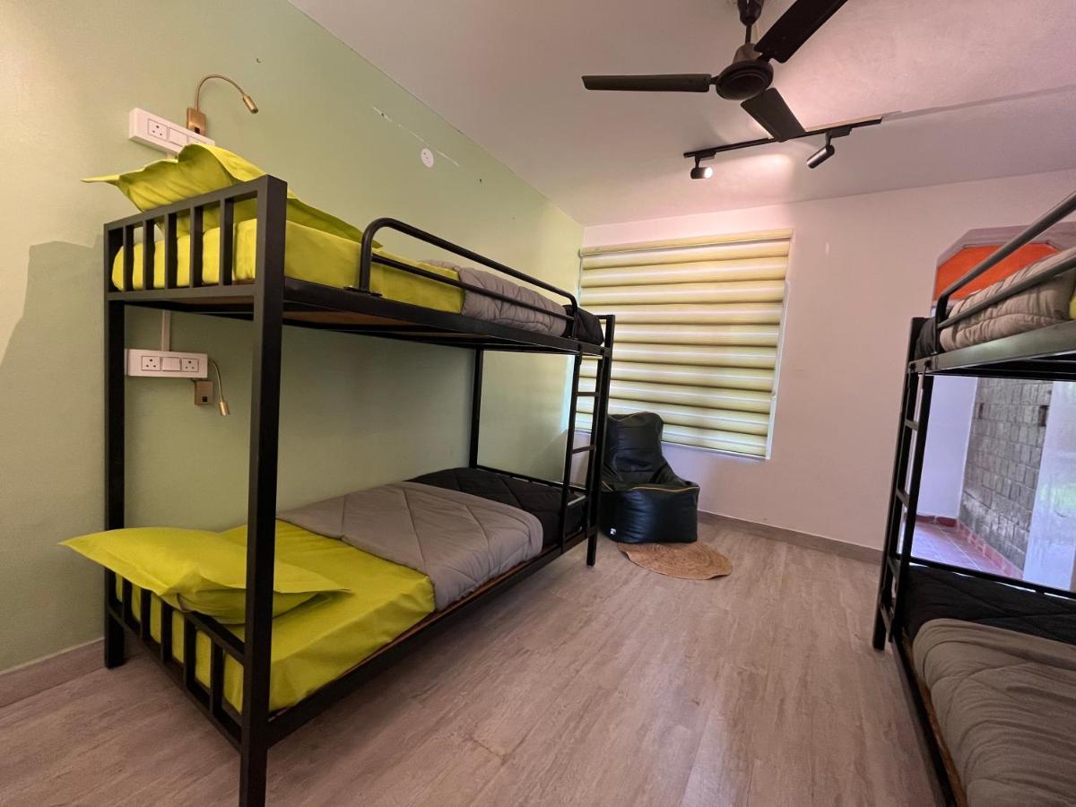 ماكليود غانج Himtrek Stays,Mcleodganj المظهر الخارجي الصورة