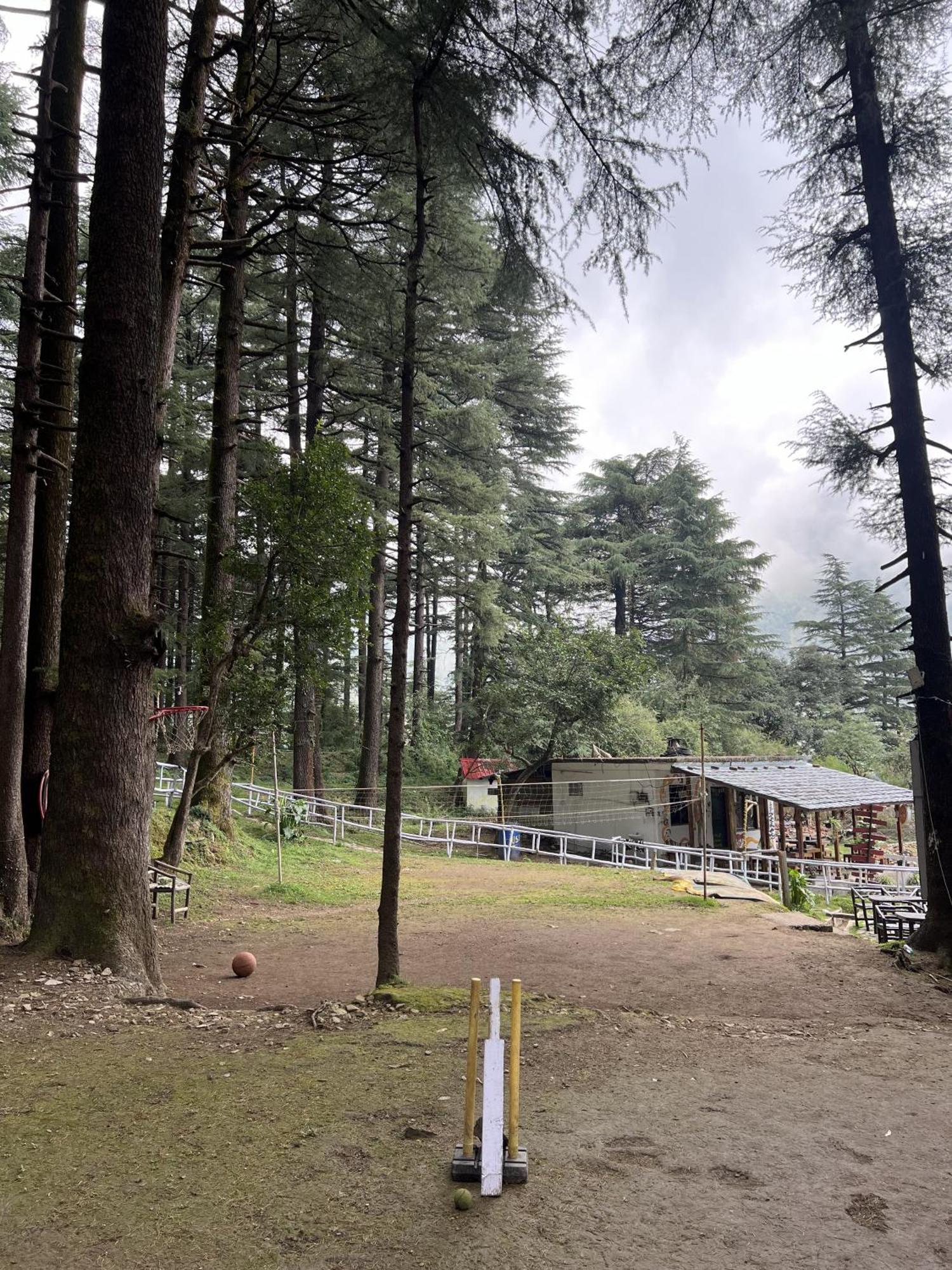 ماكليود غانج Himtrek Stays,Mcleodganj المظهر الخارجي الصورة
