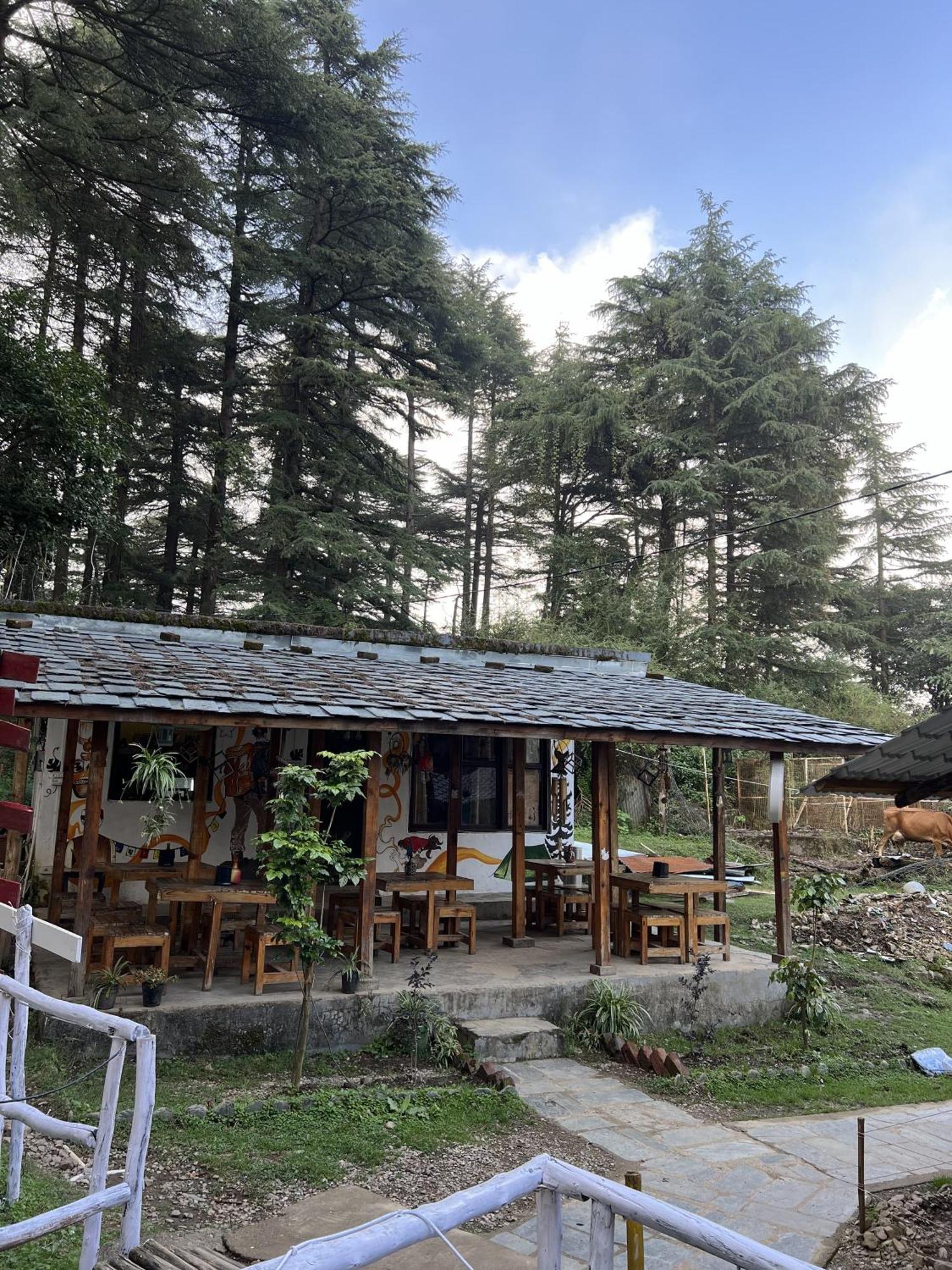ماكليود غانج Himtrek Stays,Mcleodganj المظهر الخارجي الصورة