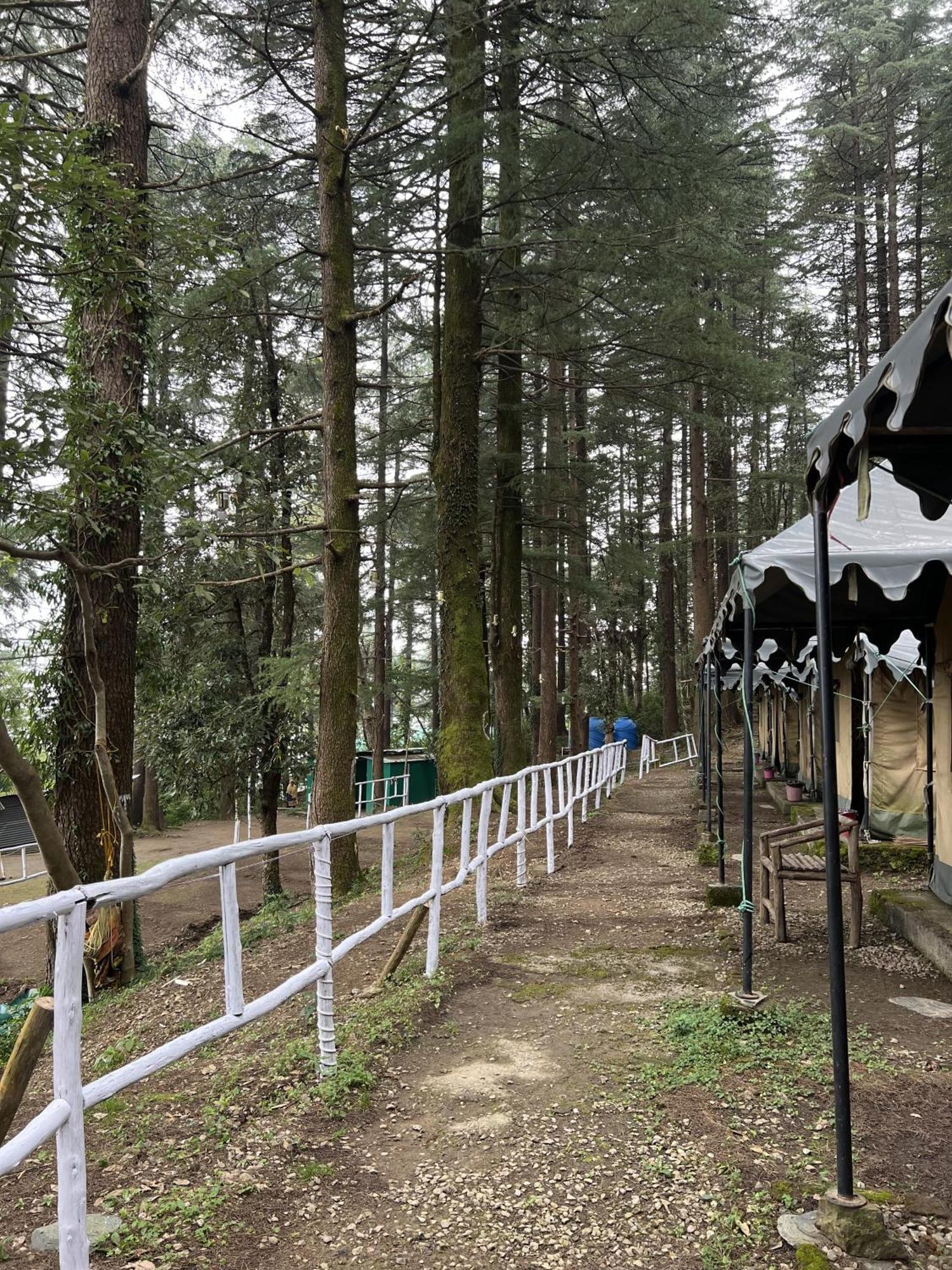 ماكليود غانج Himtrek Stays,Mcleodganj المظهر الخارجي الصورة