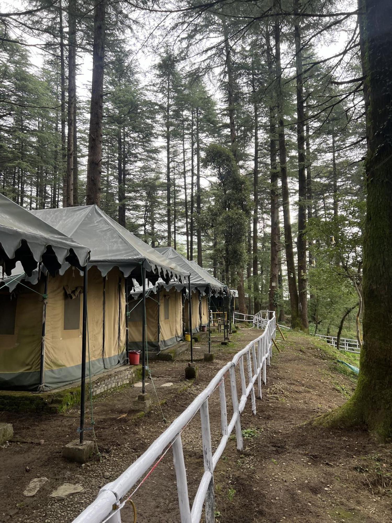 ماكليود غانج Himtrek Stays,Mcleodganj المظهر الخارجي الصورة