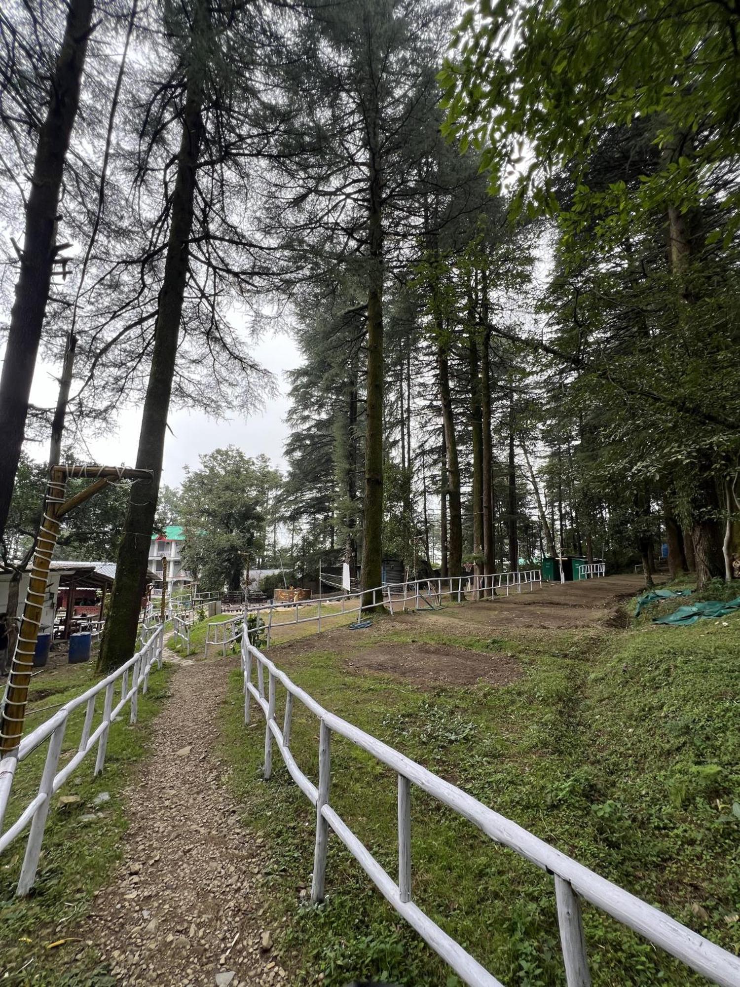 ماكليود غانج Himtrek Stays,Mcleodganj المظهر الخارجي الصورة