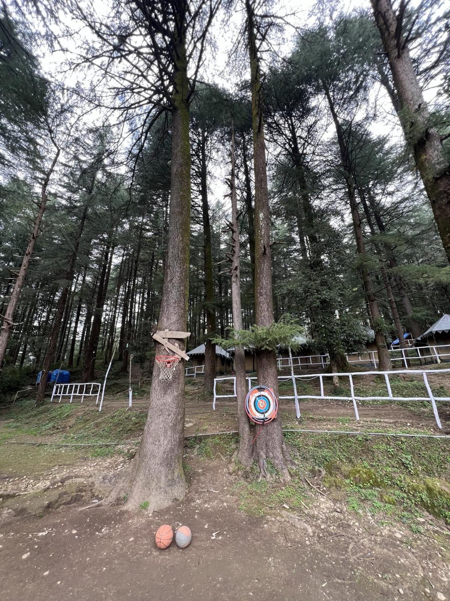 ماكليود غانج Himtrek Stays,Mcleodganj المظهر الخارجي الصورة
