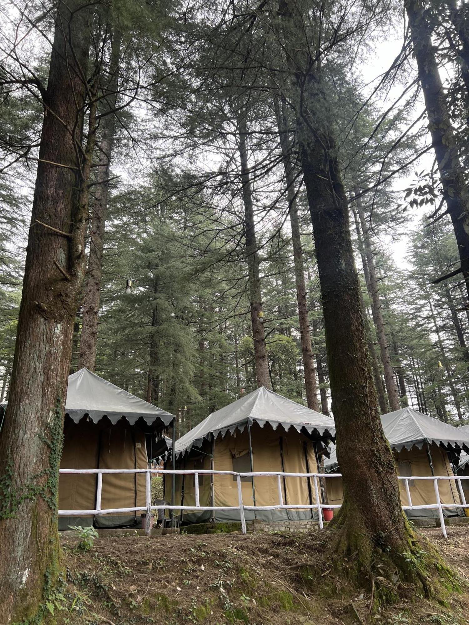 ماكليود غانج Himtrek Stays,Mcleodganj المظهر الخارجي الصورة