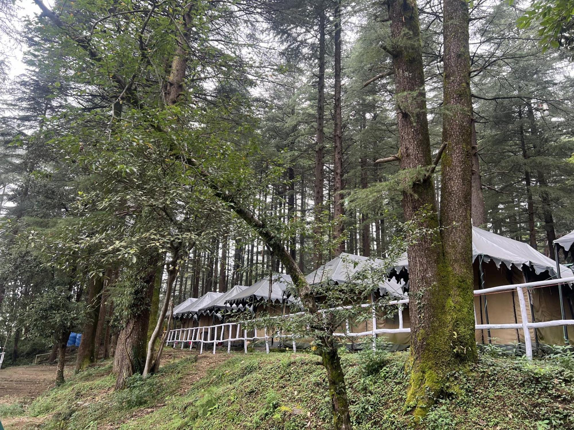 ماكليود غانج Himtrek Stays,Mcleodganj المظهر الخارجي الصورة