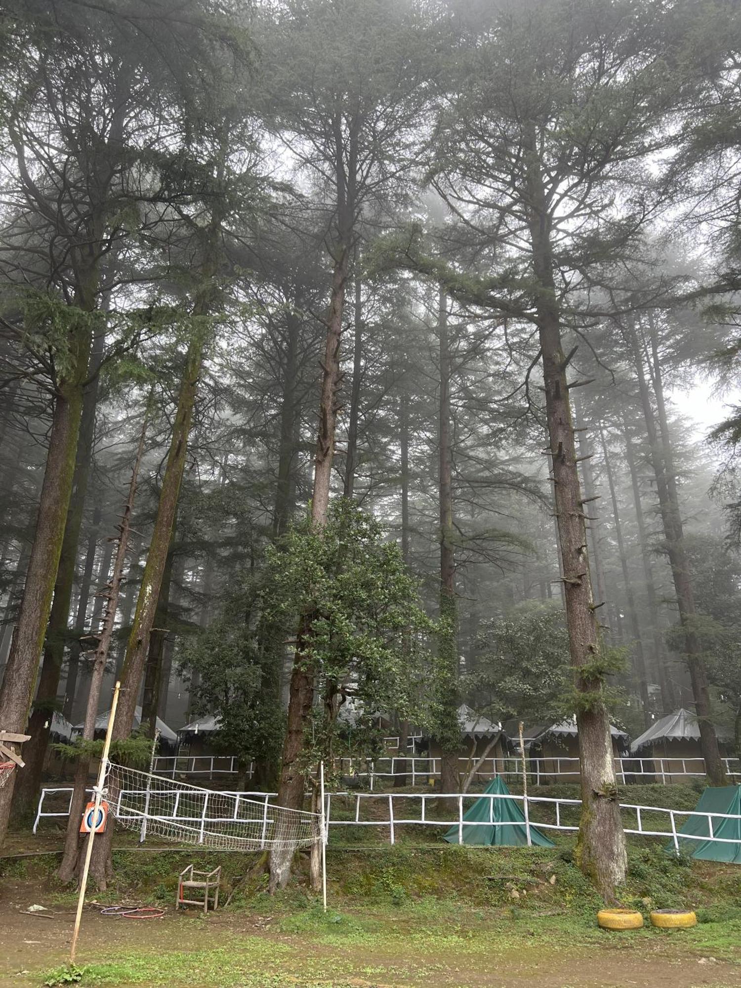 ماكليود غانج Himtrek Stays,Mcleodganj المظهر الخارجي الصورة