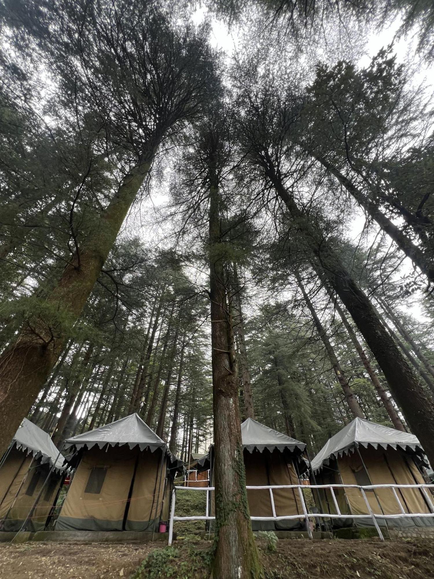 ماكليود غانج Himtrek Stays,Mcleodganj المظهر الخارجي الصورة