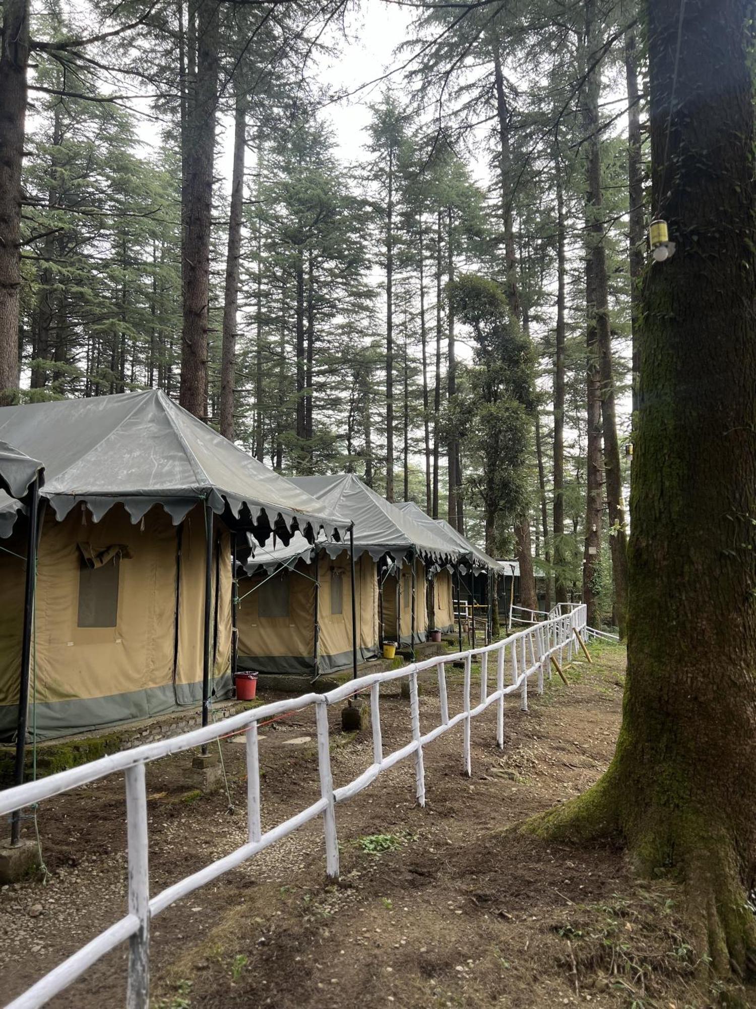 ماكليود غانج Himtrek Stays,Mcleodganj المظهر الخارجي الصورة
